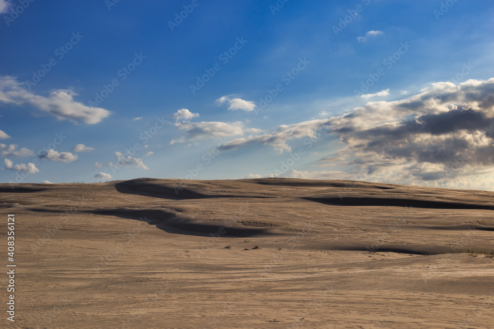 Fototapeta premium dunes by the baltic sea