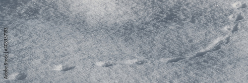 A winding chain of footprints in a winter field