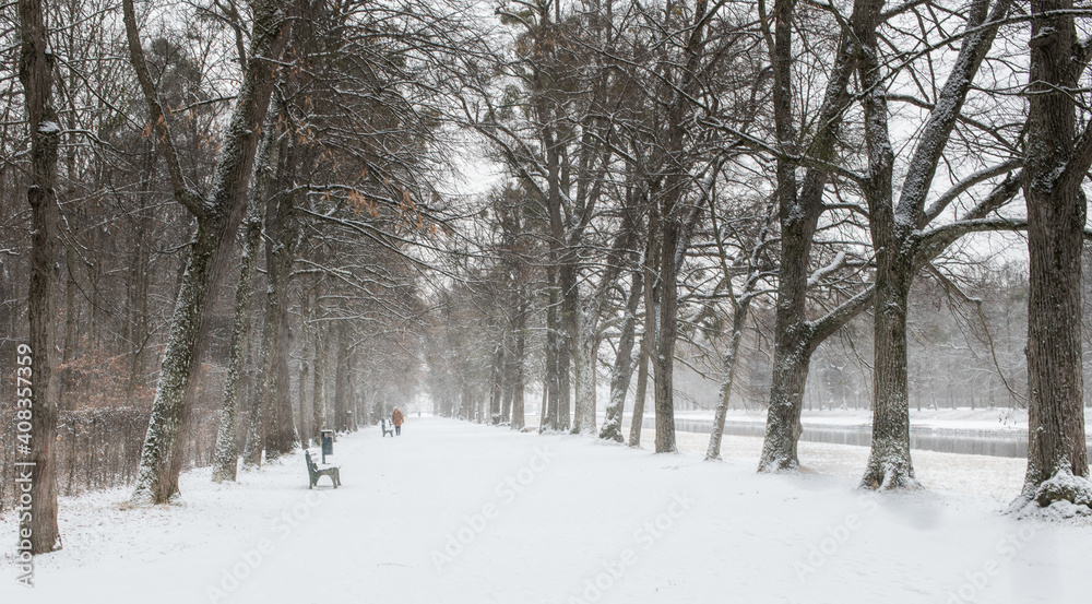 winter wonderland in a stunning nature, forrest, covered by snow and surrounded by trees winter wonderland in a stunning nature, forrest, covered by snow and surrounded by trees