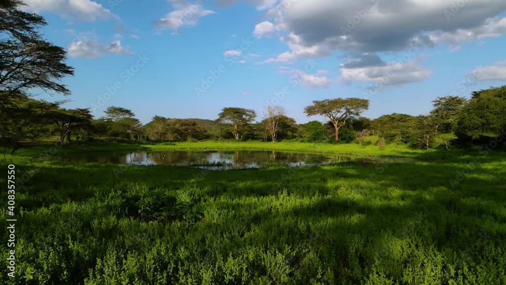 Aerial view towards a lush green pond, in the rainforests of Kenya, sunny day, in Africa - low, dolly, drone shot Aerial view towards a lush green pond, in the rainforests of Kenya, sunny day, in Africa - low, dolly, drone shot
