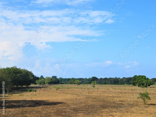 landscape with sky (deforestation in Central America)
