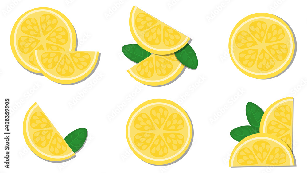 vector illustration close up top view of fresh ingredient sliced. Lemon, yellow, fresh,