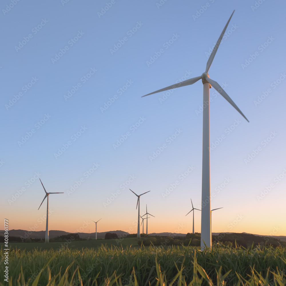 wind turbines in the field