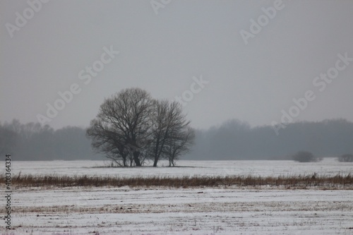 Wallpaper Mural Winter Hiking Along Seym Regional Landscape Park Torontodigital.ca