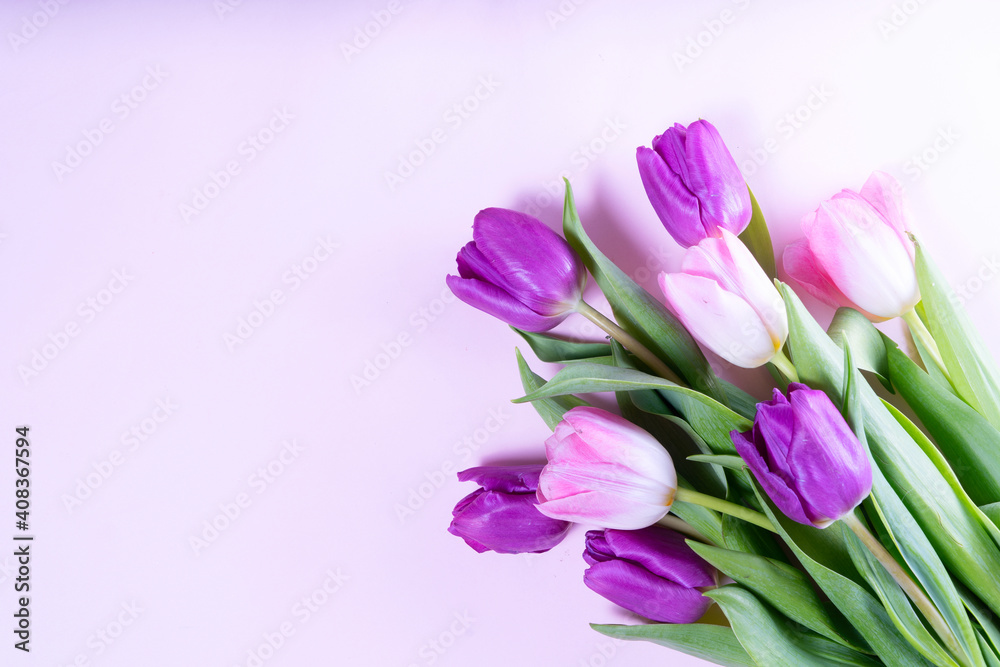 Pink blooming tulips - obrazy, fototapety, plakaty 