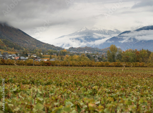 A scenery of greenery nature and French vineyard with cloudy mountain snow in autumn in Savoie alps region of France with a small village in background 