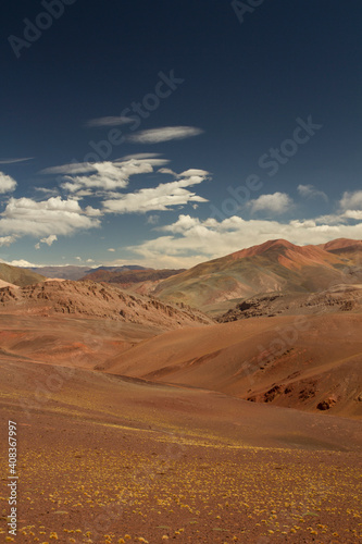 Arid landscape very high in the Andes cordillera. Beautiful view of the brown land, yellow grasses, valley and colorful mountains in Laguna Brava, La Rioja, Argentina.