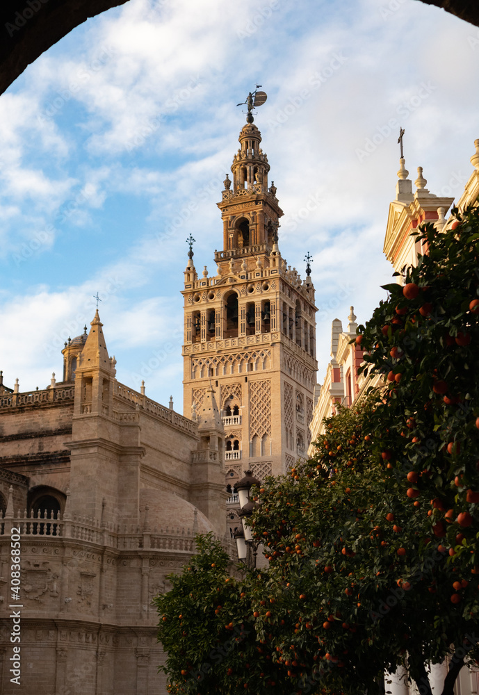 Vista de la giralda y la catedral de Sevilla