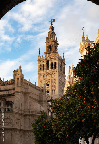 Vista de la giralda y la catedral de Sevilla
