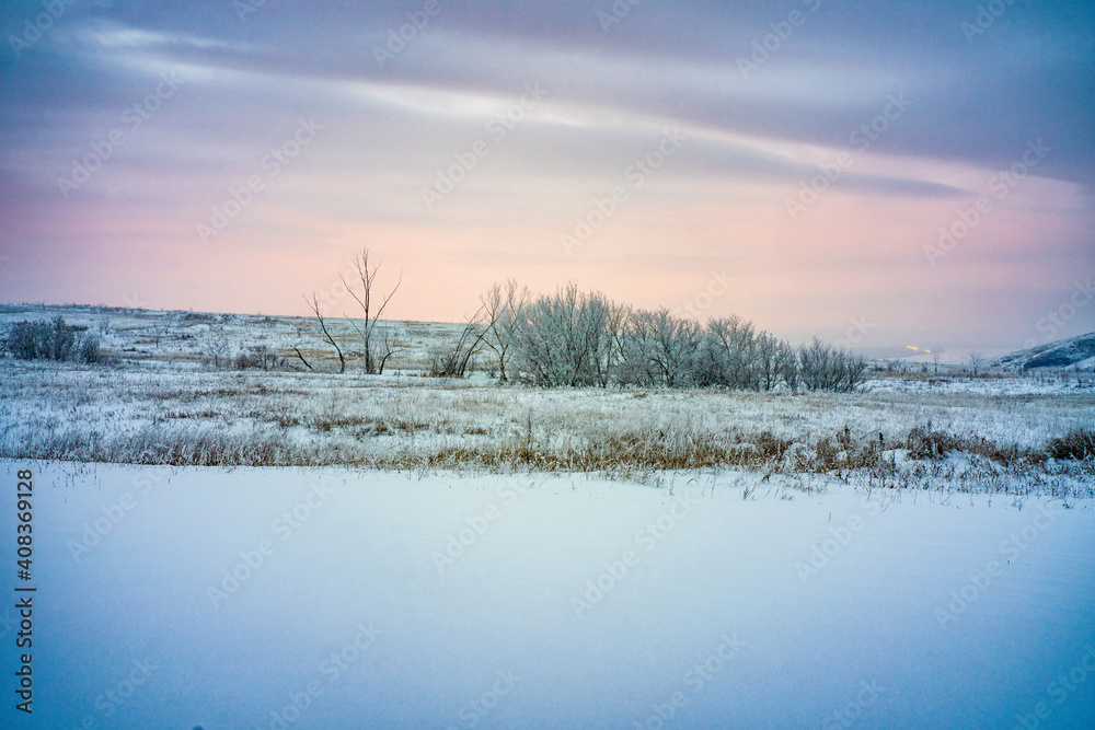 winter landscape - snowy fields and trees on the horizon against the sky winter landscape - snowy fields and trees on the horizon against the sky