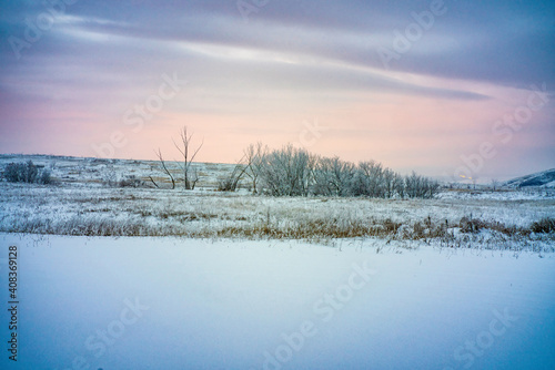 winter landscape - snowy fields and trees on the horizon against the sky