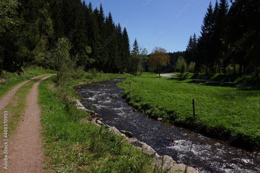 Muldental Between Holzhau And The Pond House