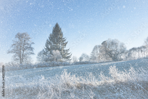 frozen landscape © Vera Kuttelvaserova