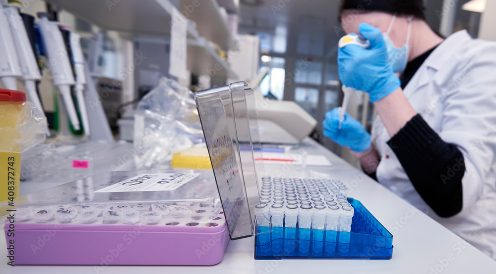 Laboratory of Genetic Biotechnology. Analysis of cell cultures for testing.