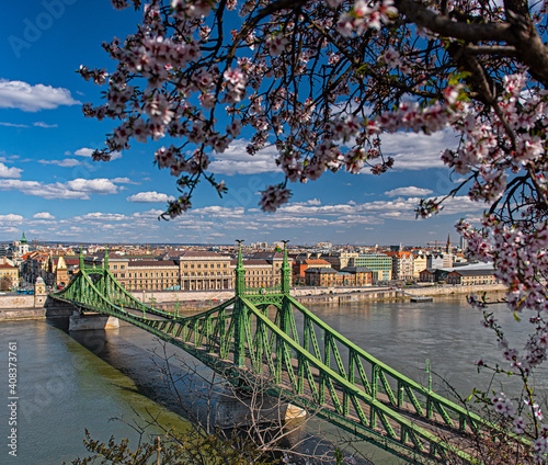 Beautiful Liberty Bridge wi...