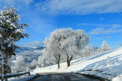 Tableau sur toile Baum im Raureif