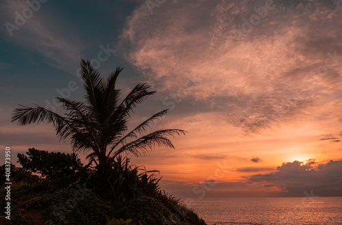 Palma na wzgórzu na tle oceanu i zachodzącego słońca na pochmurnym niebie.