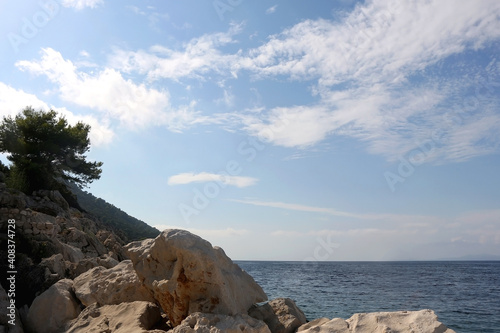 Rocks and pine tree on the shore. Landscape on island Lastovo, Croatia.