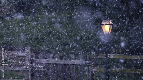 Snow Falling on Narnia Lamp Post in a Garden in Ireland photo