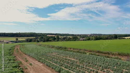 Drone shot lifting up over crops and fields to reveal English countryside and farmhouse. 4k