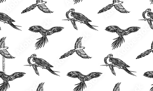 Seamless hand drawn corella parrot outline sketch pattern. Endless vector black ink tropical bird drawing isolated on white background. Stylzed graphic wild animal illustration