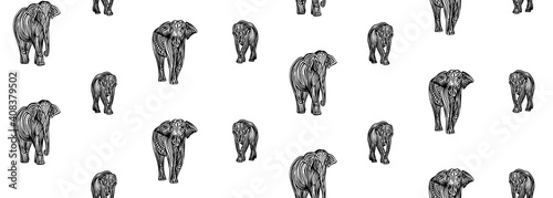 Stylized decorative hand drawn elephant seamless pattern. Endless vector black ink indian wild animal drawing isolated on white background. Graphic african wildlife illustration