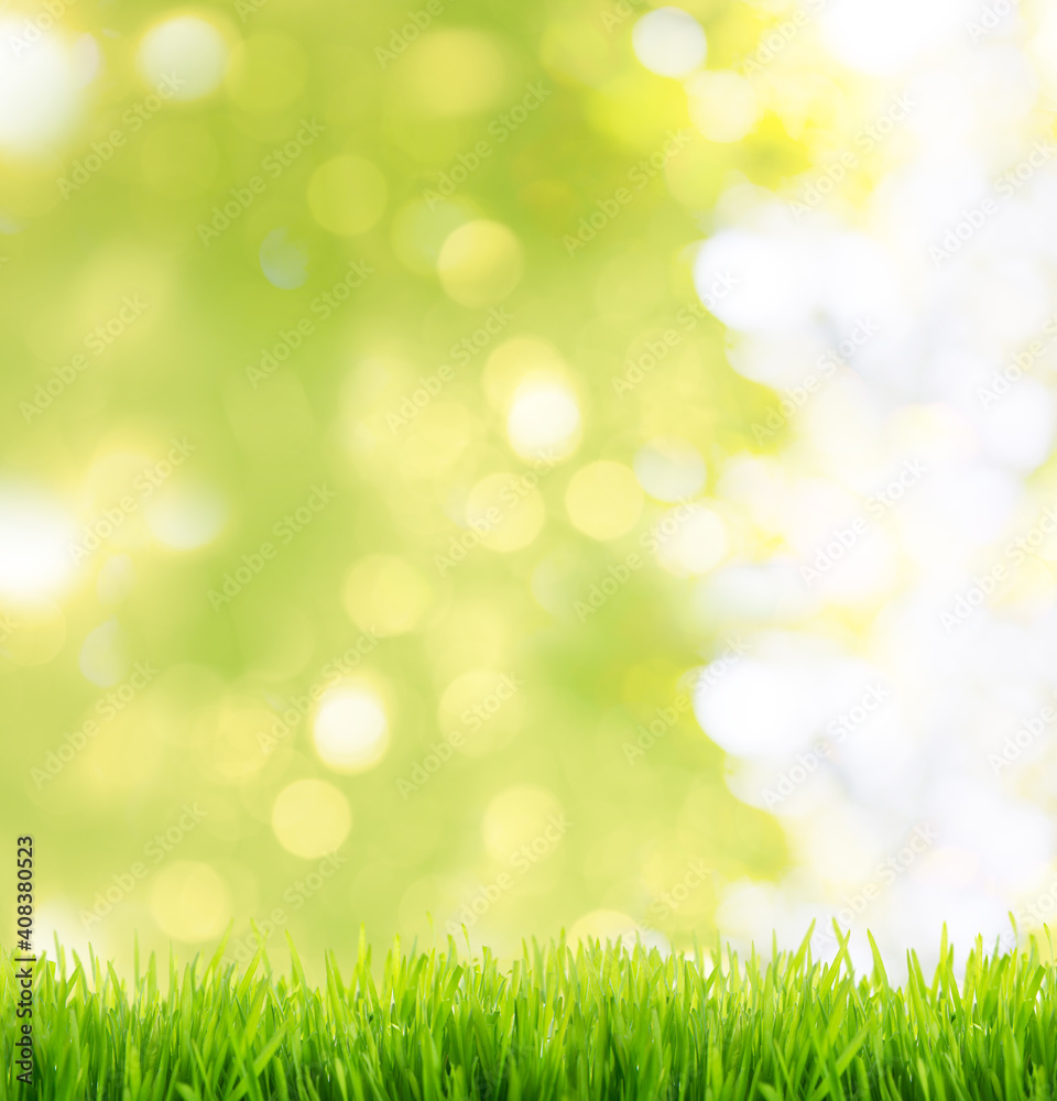 Natural green grass on bokeh and rays with sunlight and blurred greenery background in garden with copy space. Safe world and ecology concept.