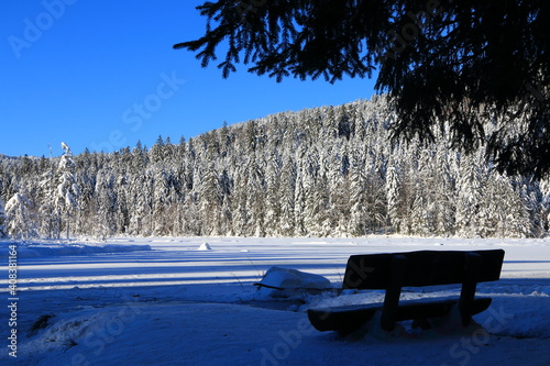 Obraz na płótnie Lac de Lispach dans les Vosges w salonie