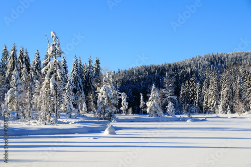 Lac de Lispach dans les Vosges