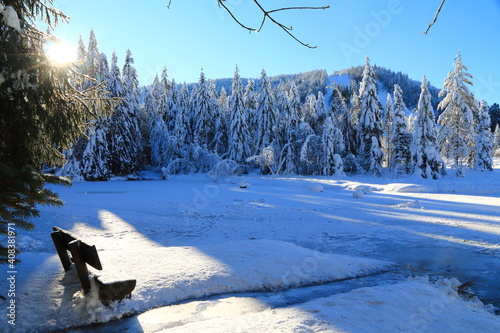 Lac de Lispach dans les Vosges photo