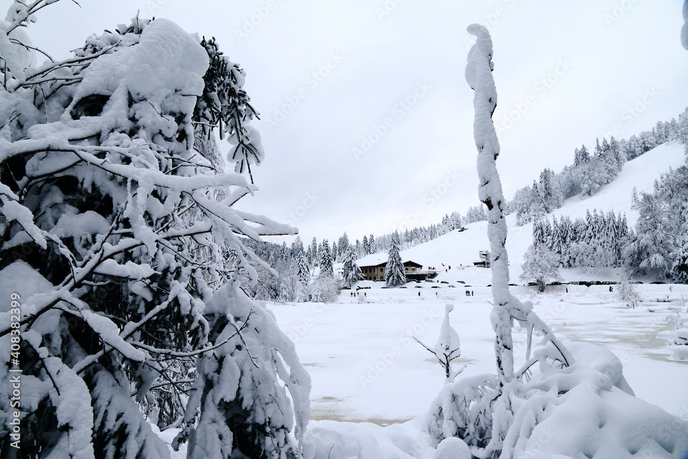 Lac de Lispach dans les Vosges