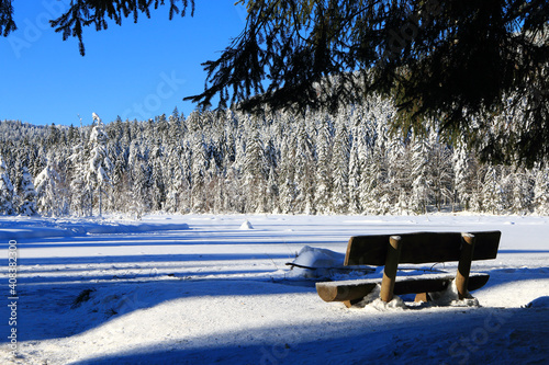 Lac de Lispach dans les Vosges photo