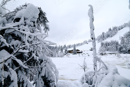 Obraz na płótnie Lac de Lispach dans les Vosges w salonie