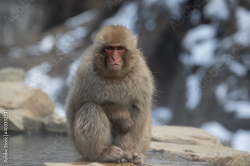Portrait, Nagano, Japan