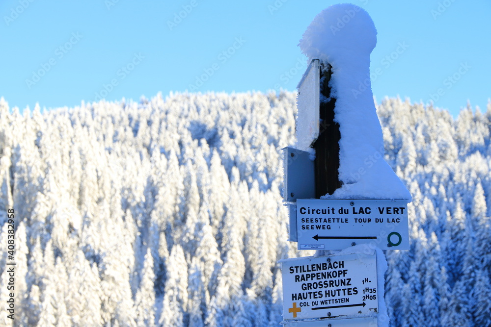 Lav vert dans la Vallée de Munster en Alsace en hiver