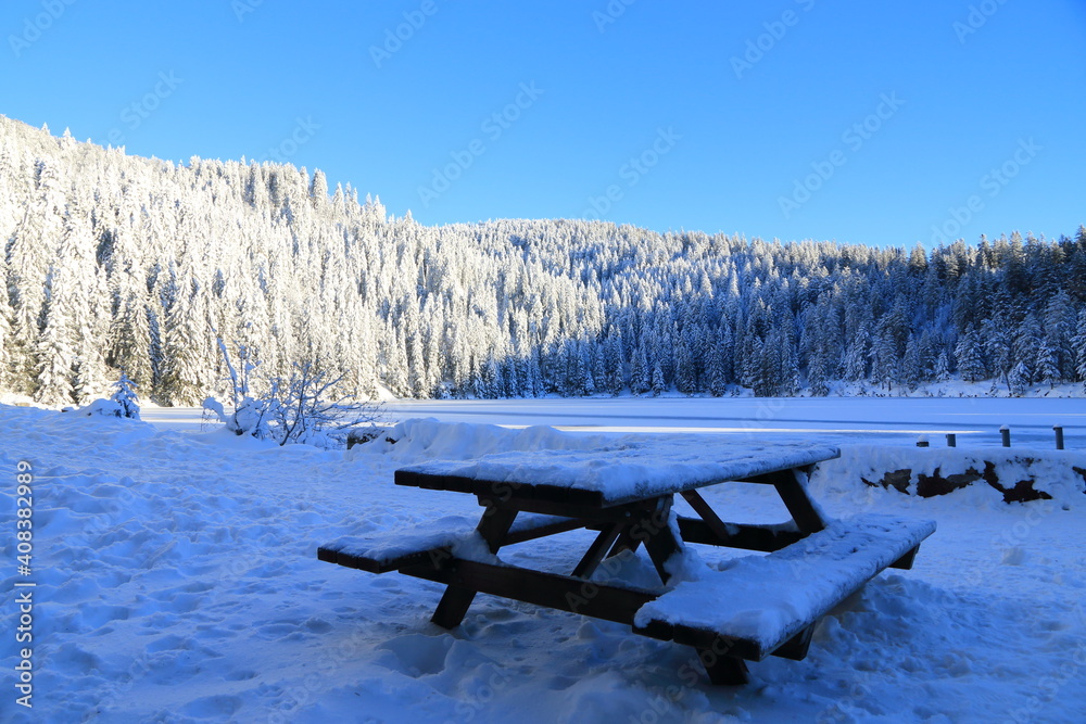 Lav vert dans la Vallée de Munster en Alsace en hiver