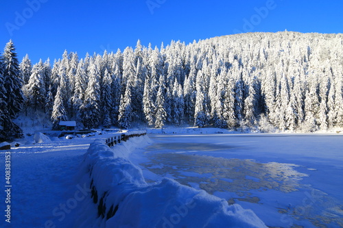 Obraz na płótnie Lav vert dans la Vallée de Munster en Alsace en hiver w salonie