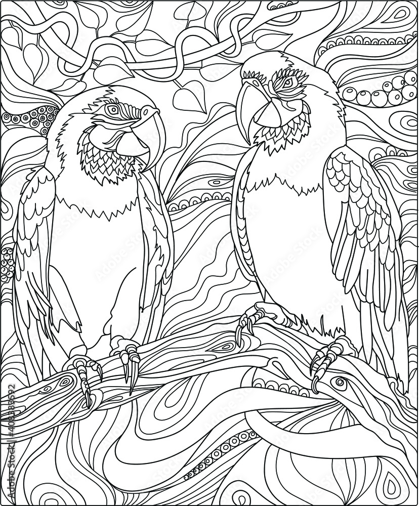 Vector hand drawn parrots on a branch color page.