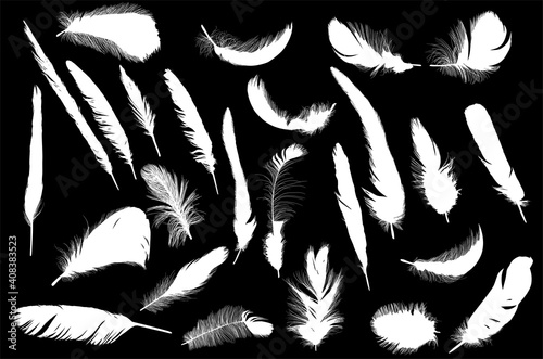 twenty five feather silhouettes isolated on black