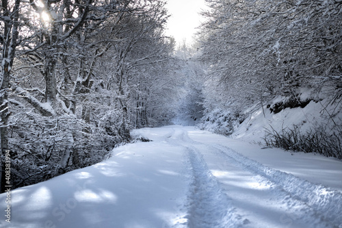 Paysage hivernal en Lozère