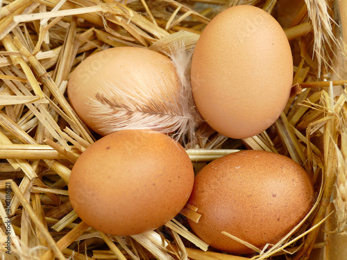 Brown Eggs On Straw photo