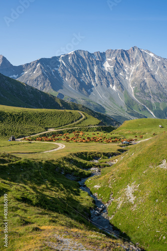Fototapeta Naklejka Na Ścianę i Meble -  paysage d'alpage dans la Parc de la Vanoise, Savoie, France