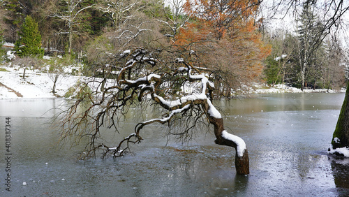 Snowy at park in İstanbul