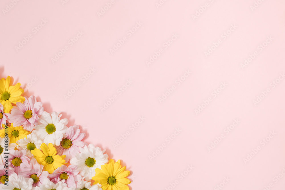Flowers color composition on a pink background. Flowers color composition on a pink background.