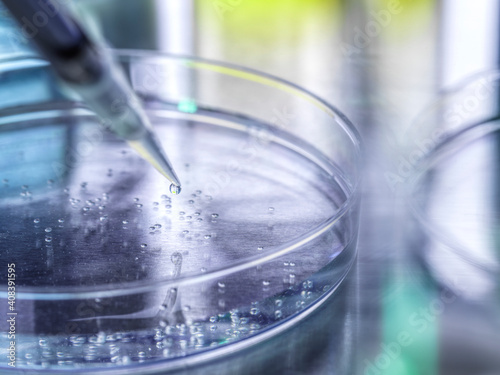 Scientific experiment of stem cells in petri dish at laboratory