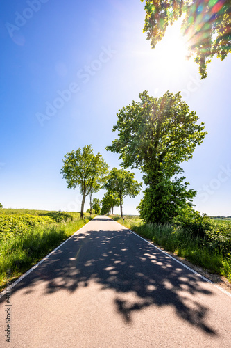 Germany,¬†Mecklenburg-Western¬†Pomerania, Sun shining over empty asphalt road through¬†Schaalsee¬†Biosphere Reserve in summer photo