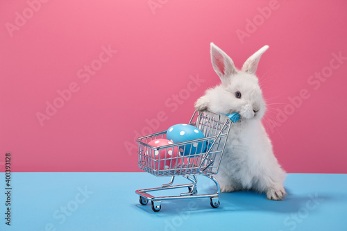 Canvas Print White Easter bunny rabbit with shopping basket and painted eggs on blue and pink