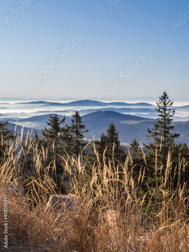Reeds with foggy peaks of Bavarian Forest at dawn
