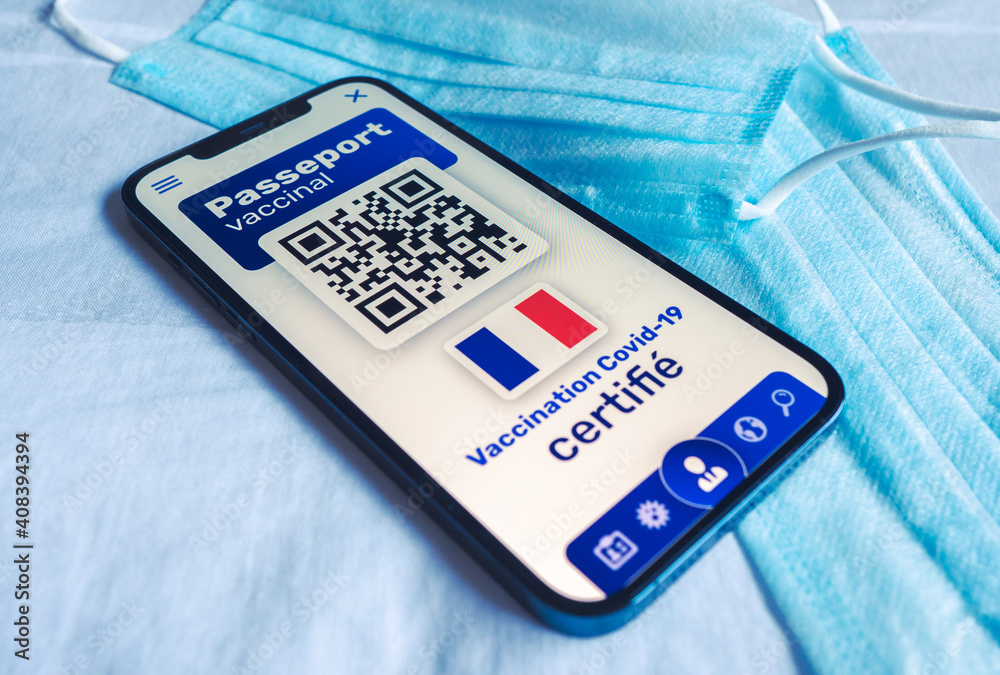 Carnet De Vaccination International Standard – Version 2020, 28 Pages, Avec Accès Boussole Vaccination En Ligne