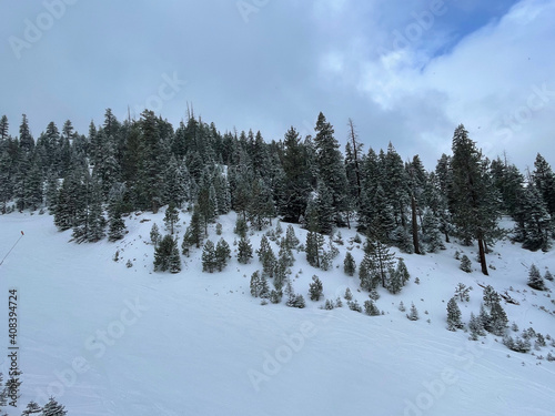 Winter landscape scene at a ski resort, with snow covered trees and slopes